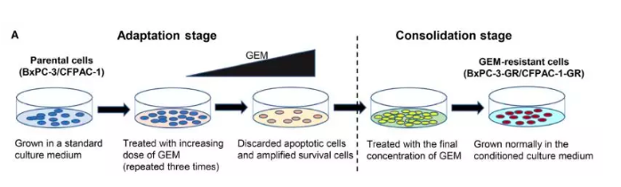 15828074402018.png image.png