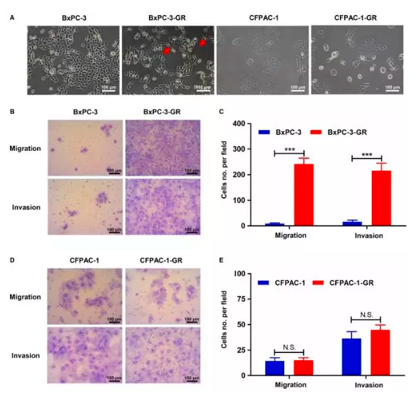 15828074853014.png image.png