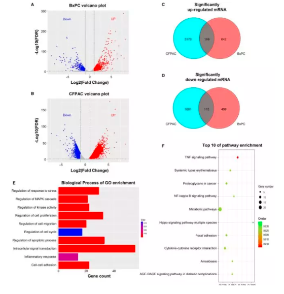 15828075124738.png image.png