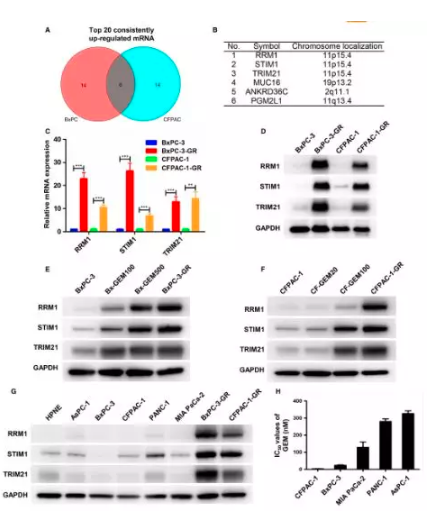 15828075347358.png image.png