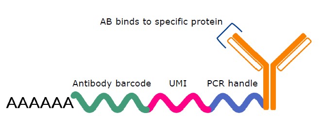 15828638044877.jpg 11.jpg