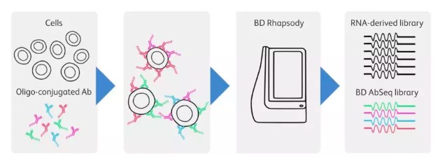 15828638287607.jpg 12.jpg