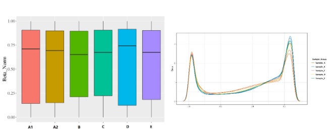 16111126067280.jpg 112.jpg