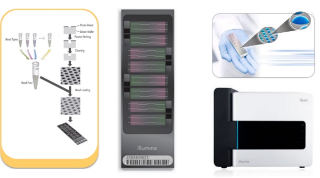 16111129461299.jpg 112.jpg