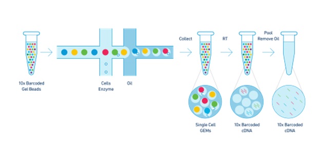 16111279021157.jpg 112.jpg