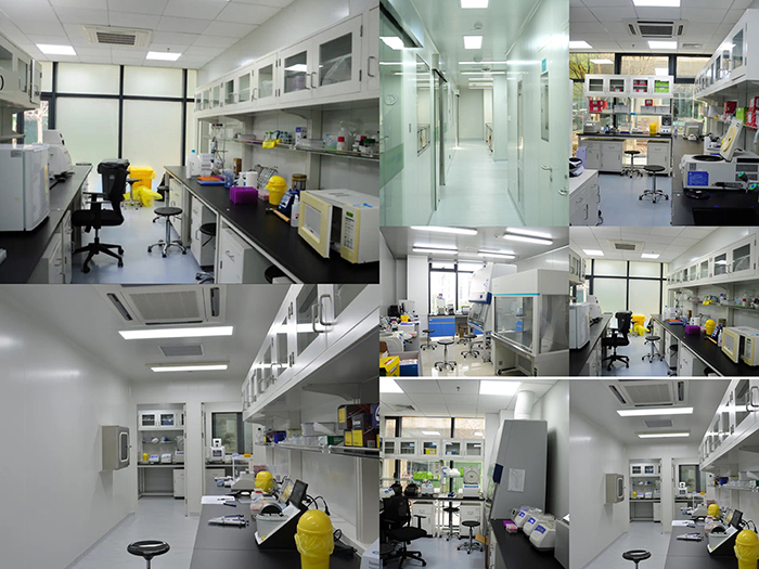 16111910315967.jpg ping2.jpg