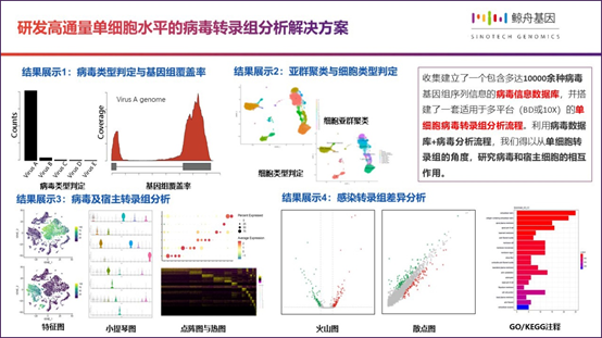 16112168005381.png image.png