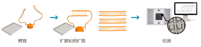 16099084736291.jpg 888.jpg