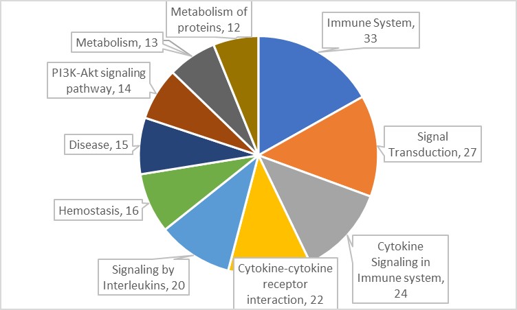 16208220116862.jpg 16208220116862.jpg