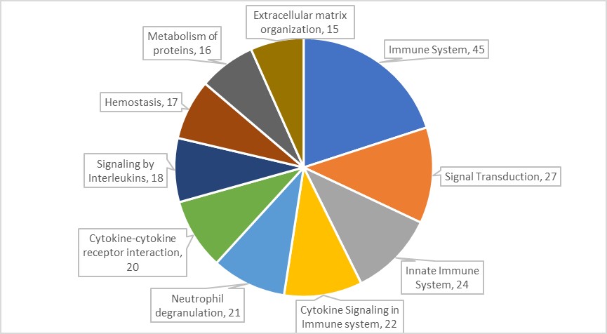 16208230846098.jpg 16208230846098.jpg