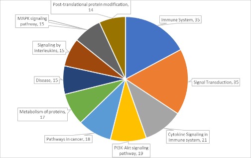 16209061778574.jpg 2.jpg