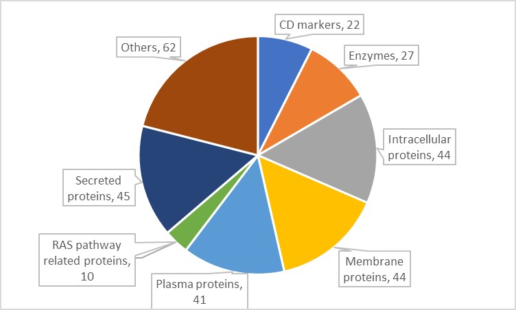 16209062048140.jpg 16209062048140.jpg
