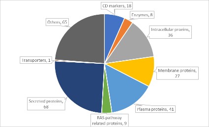 16209072778720.jpg 16209072778720.jpg