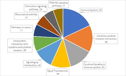 16209095609795.jpg 16209095609795.jpg