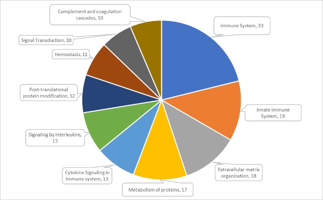 16209099258629.jpg 16209099258629.jpg