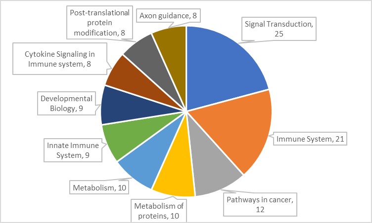 16209106979169.jpg 16209106979169.jpg