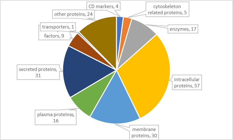 16209107069556.jpg 16209107069556.jpg