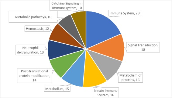 16209114266012.jpg 2.jpg