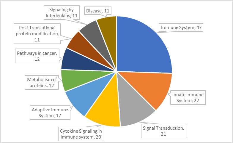 16209117368711.jpg 16209117368711.jpg