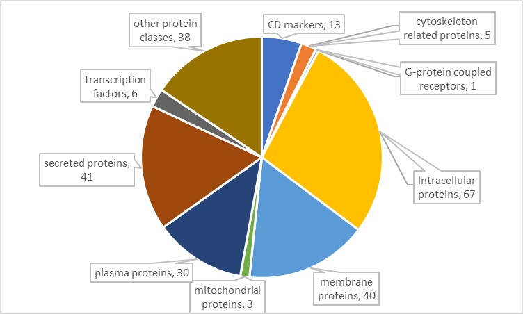 16209117439335.jpg 16209117439335.jpg