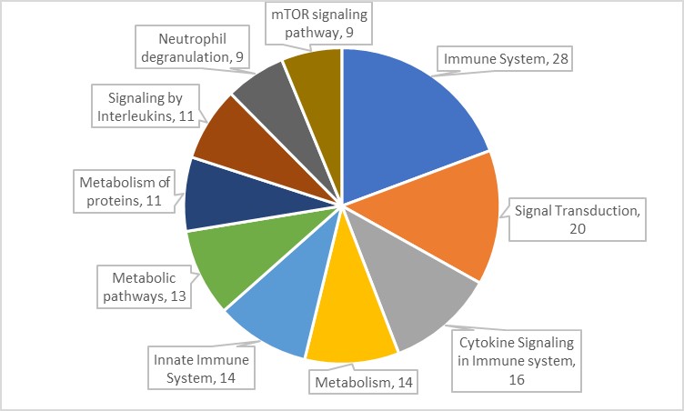 16209127925717.jpg 16209127925717.jpg