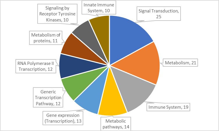 16209131325923.jpg 16209131325923.jpg
