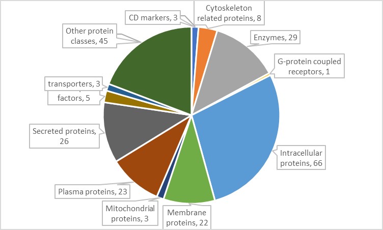 16209131438933.jpg 16209131438933.jpg