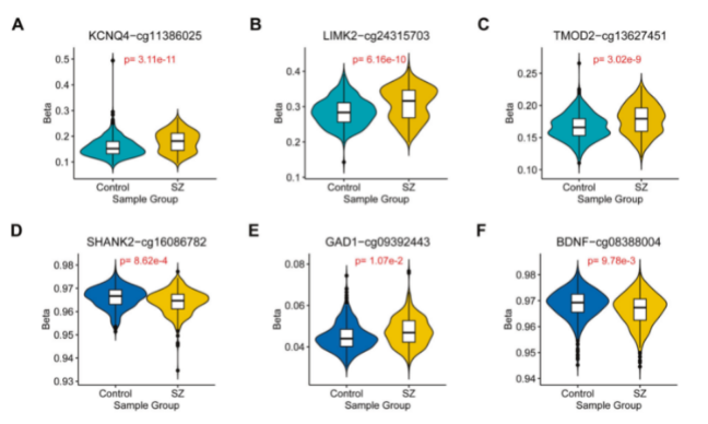 16212371778627.png image.png