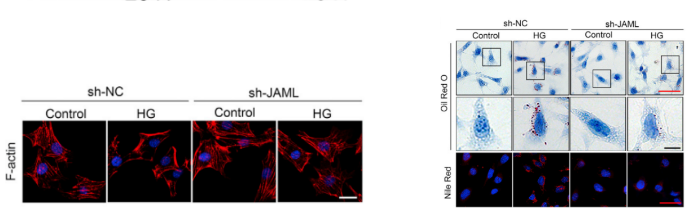 16212406607734.png image.png