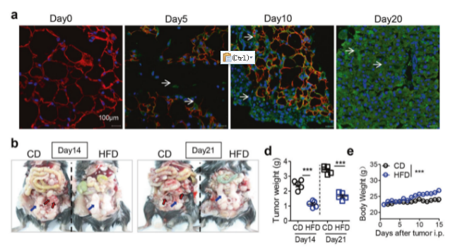 16213262642649.png image.png