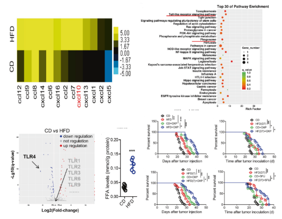 16213262949716.png image.png