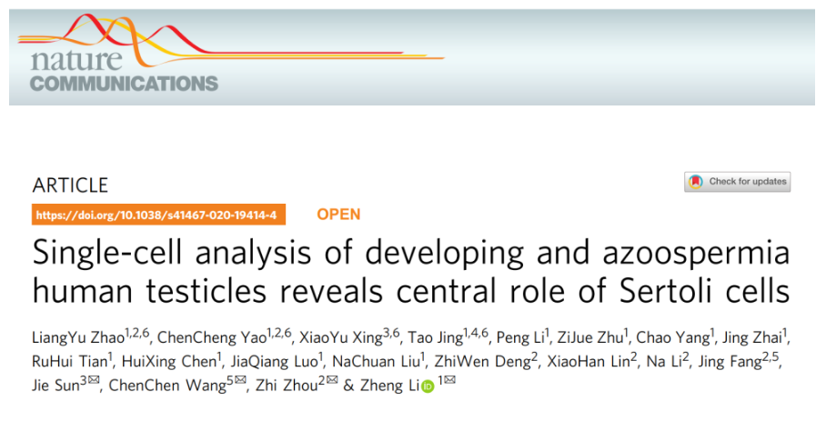 16213265191754.png image.png