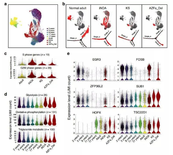 16213266286800.png image.png