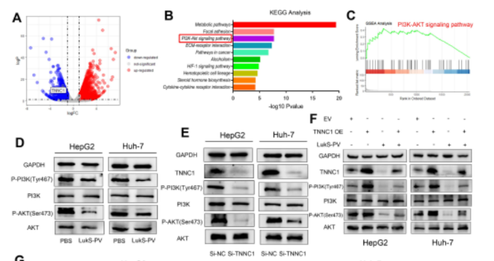 16213269593379.png image.png