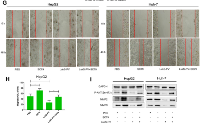 16213269708645.png image.png