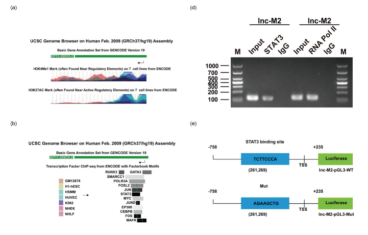 16213272169455.png image.png