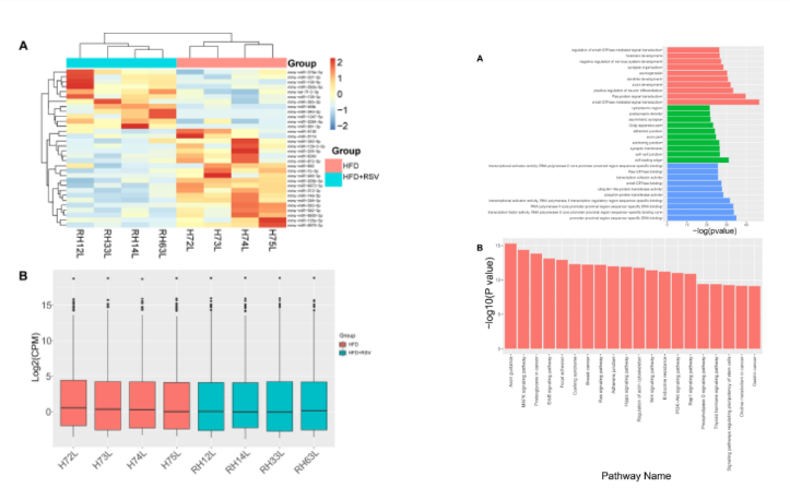 16214028795427.png image.png