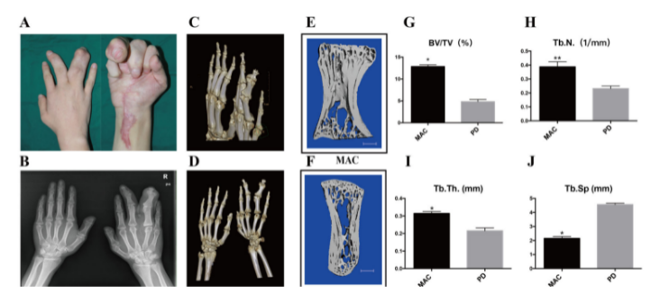 16214031404643.png image.png