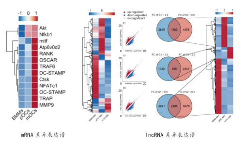 16214054714151.png image.png