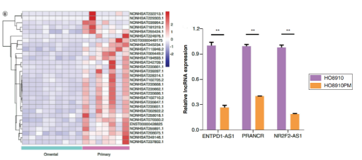 16214060562218.png image.png