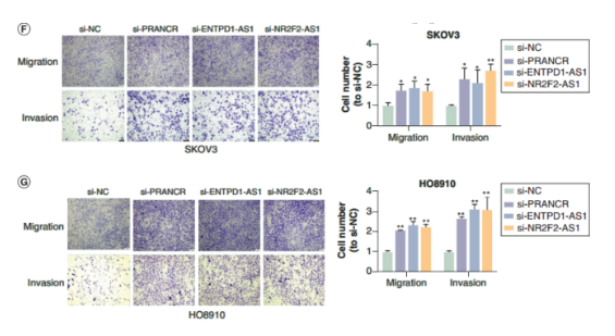 16214060925861.png image.png