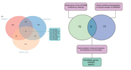 16214061127854.png image.png