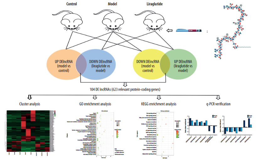 16214065632342.png image.png