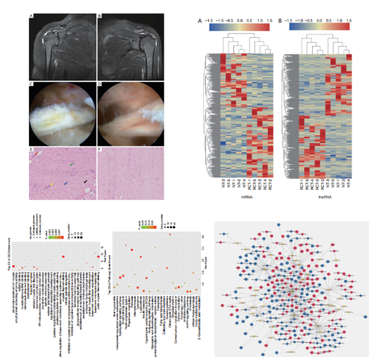 16214066365145.png image.png