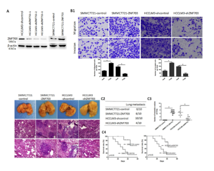 16214067348484.png image.png