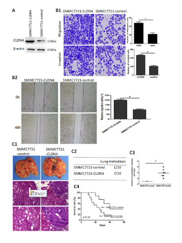 16214067708334.png image.png