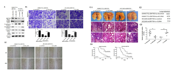 16214068238837.png image.png