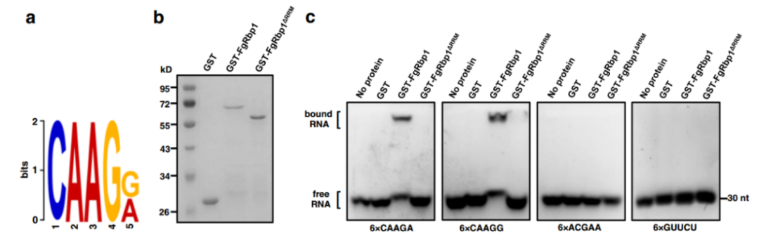 16221876063253.png 16221876063253.png