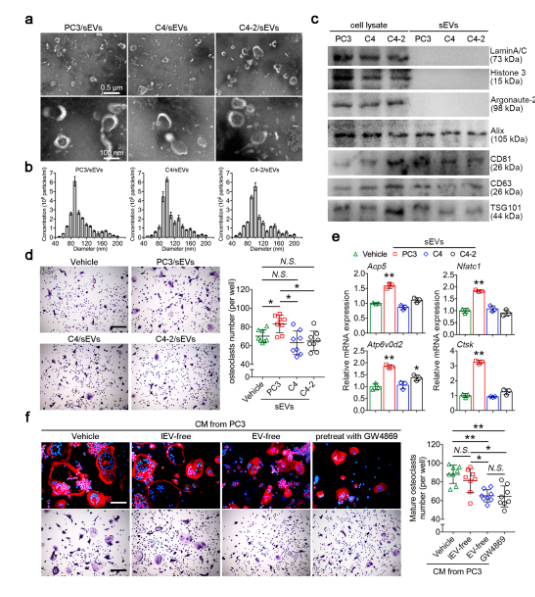 16273670031819.png 1627366999(1).png