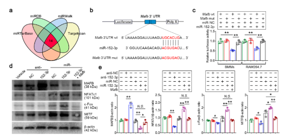 16273670397311.png 1627367036(1).png